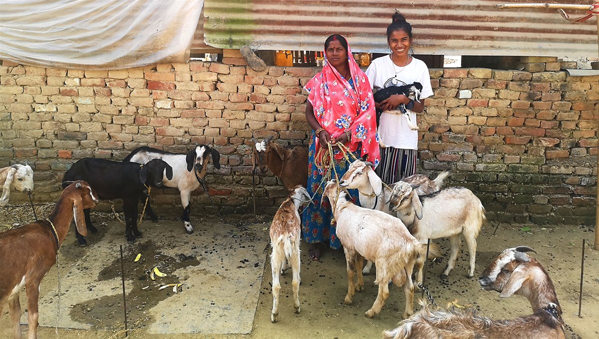 Nepalske Rupa Kohar (16) og moren hennes sammen med geiteflokken.