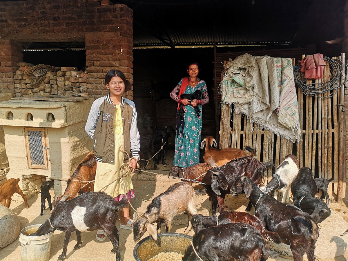 Nepalske Bhawana Chaudhary (16) og moren hennes sammen med geiteflokken